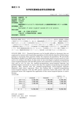 PDF - KAKEN - 科学研究費助成事業データベース