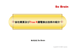 会社概要及びTrueR漏電検出技術のご紹介