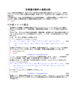 計算量の解析と速度比較 計算コストの算出
