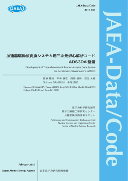 加速器駆動核変換システム用三次元炉心解析コード ADS3Dの整備