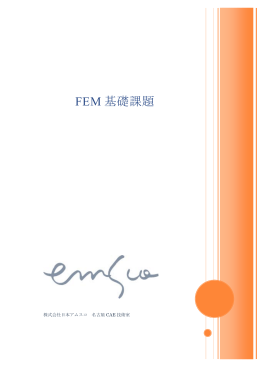 FEM基礎課題テキスト（pdf/1104KB）