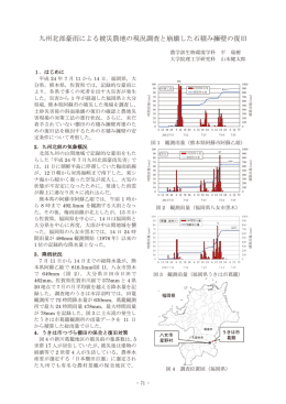 10.九州北部豪雨による被災農地の現況調査と崩壊した石積み擁壁の復旧