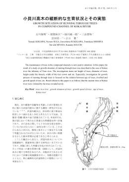 小貝川高木の縦断的な生育状況とその実態