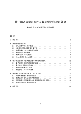 量子輸送現象における幾何学的位相の効果