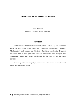 Meditation on the Perfect of Wisdom Abstract