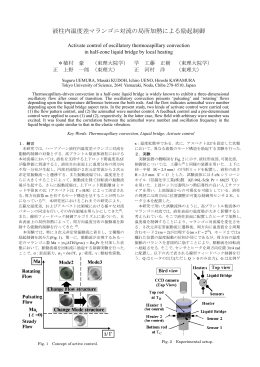 液柱内温度差マランゴニ対流の局所加熱による励起制御
