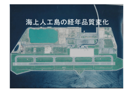 発表ppt（PDF形式）
