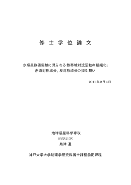 修 士 学 位 論 文
