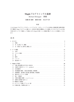 Mapleプログラミングの基礎 (PDF形式)