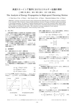 高速スローイング動作におけるエネルギー伝播の解析