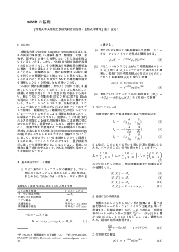Liouville von Neumann方程式による磁化の振舞を計算