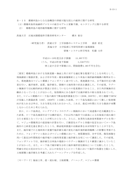 2） 環礁州島の地形維持機構に関する研究