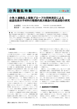 小角 X 線散乱と複数プローブの同時測定による 結晶