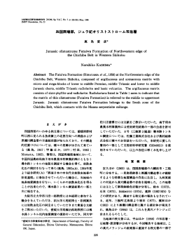 四国西端部,ジ ュラ紀 オ リス トス トローム双岩層