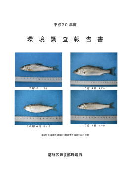 平成20年度環境調査報告書（全文）（PDFファイル 3.0MB）