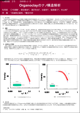 Organoclayのナノ構造解析