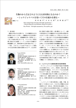 生物のからだはどのように左右非対称になるのか？ &sim;ショウジョウバエを