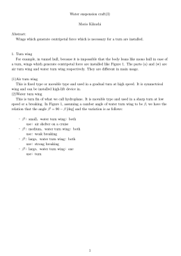 Water suspension craft(3) Morio Kikuchi Abstract