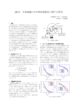 [B17] 生体組織の光学特性値測定に関する研究