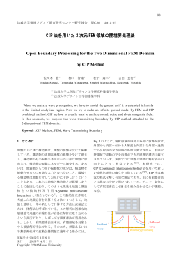 CIP 法を用いた 2 次元 FEM 領域の開境界処理法 Open Boundary
