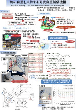 PDF (記事)
