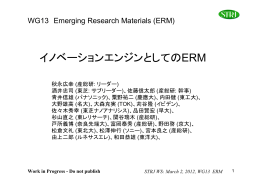 WG「イノベーションエンジンとしてのERM」