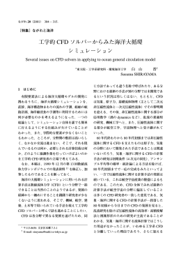 工学的 CFD ソルバーからみた海洋大循環
