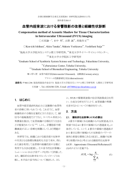 血管内超音波における音響陰影の改善と組織性状診断