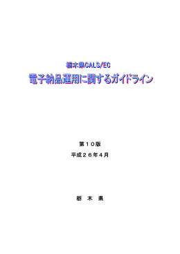 電子納品運用ガイドライン（案）第10版〔栃木県〕（PDF：3152KB）