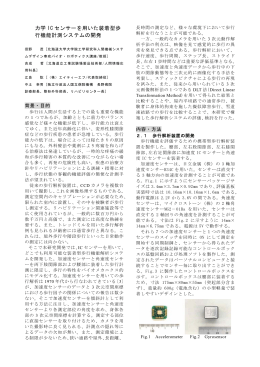 力学 IC センサーを用いた装着型歩 行機能計測システムの開発