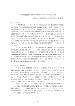13. 中間規模波動が南半球環状モードに果たす役割 ...............................84