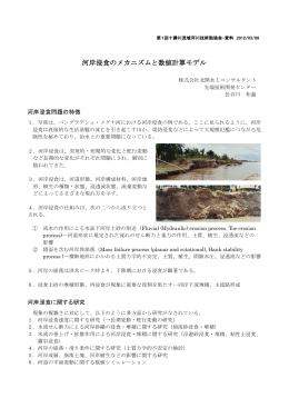 河岸浸食のメカニズムと数値計算モデル