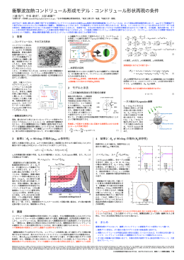 衝撃波加熱コンドリュール形成モデル：コンドリュール形状