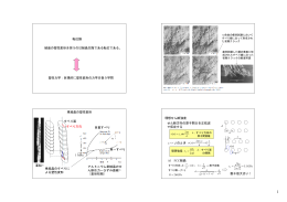 結晶の塑性変形を担うのは結晶欠陥である転位である。