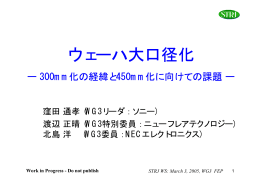 Front-End Processes (FEP) WG「ウェーハ大口径化