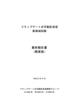 最終報告書（概要版）（PDF：4.97 MB）