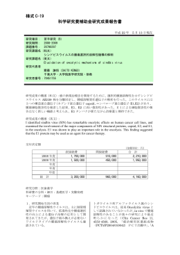 様式 C-19 科学研究費補助金研究成果報告書 - KAKEN
