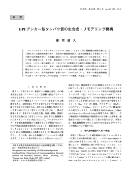 GPI アンカー型タンパク質の生合成・リモデリング機構