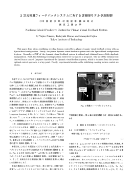 2 次元視覚フィードバックシステムに対する非線形モデル予測制御