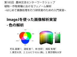 ImageJを使った画像解析実習 - 色の解析