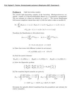 Prof. Sighart F. Fischer, Smoluchowski Lectures in Biophysics 2007