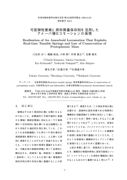 可変弾性要素と原形質量保存則を活用した アメーバ様ロコ