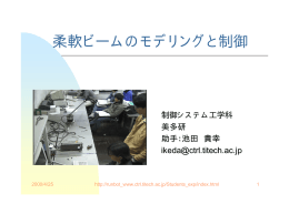柔軟ビームのモデリングと制御