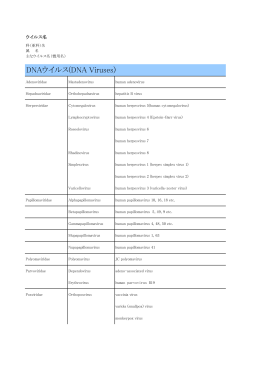 DNAウイルス(DNA Viruses)