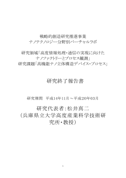 高機能ナノ立体構造デバイス・プロセス