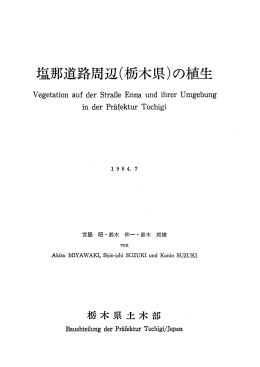 Vegetati。n auf der StraBe Enna und ihrer Umgebung