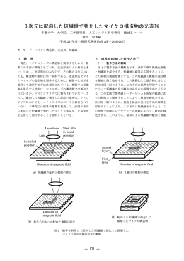 3 次元に配向した短繊維で強化したマイクロ構造物の光造形