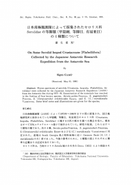 日本南極観測隊によって採集されたセロリス科 serolidae