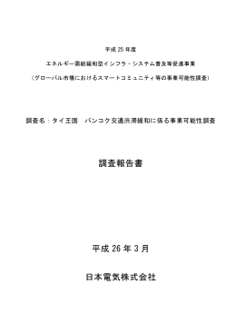 エネルギー需給緩和型インフラ・システム普及等促進事業
