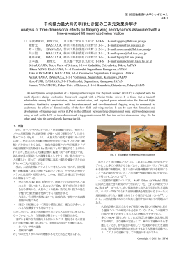 平均揚力最大時の羽ばたき翼の三次元効果の解析